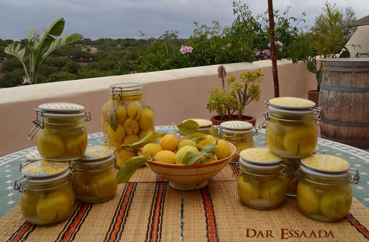 Dar Essaada Hotel Essaouira Ngoại thất bức ảnh